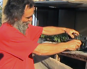 Alberto-video
